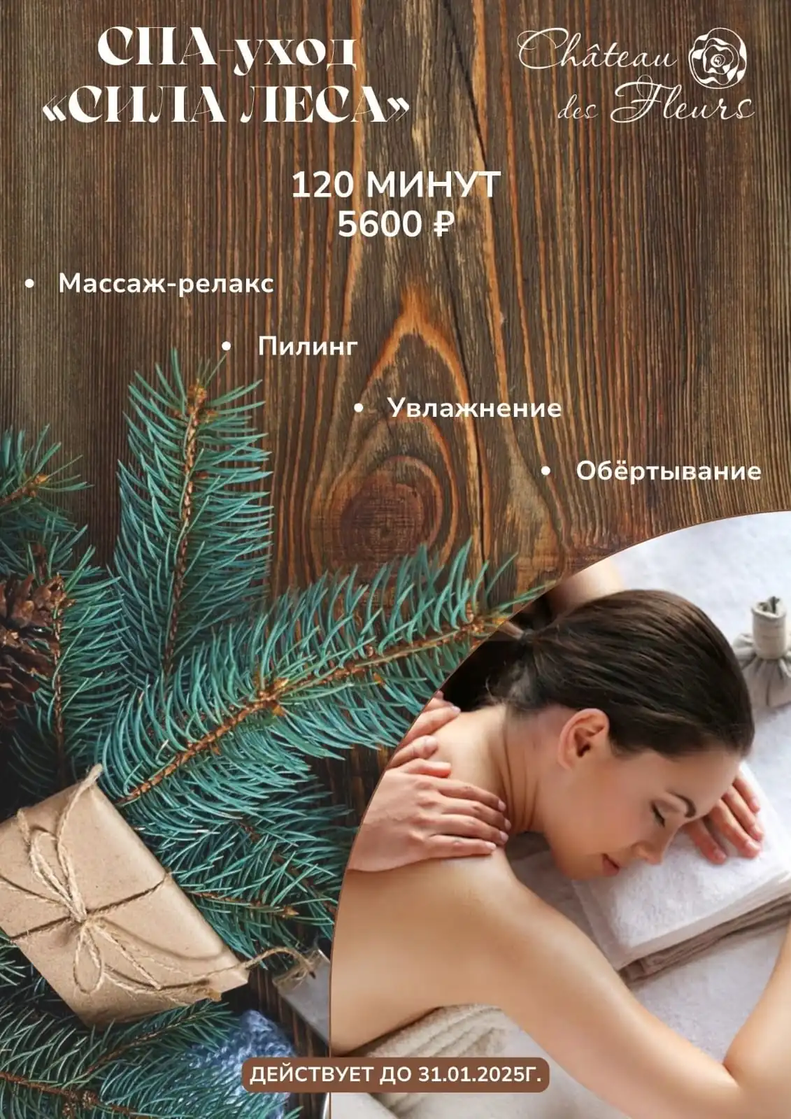 Сила леса